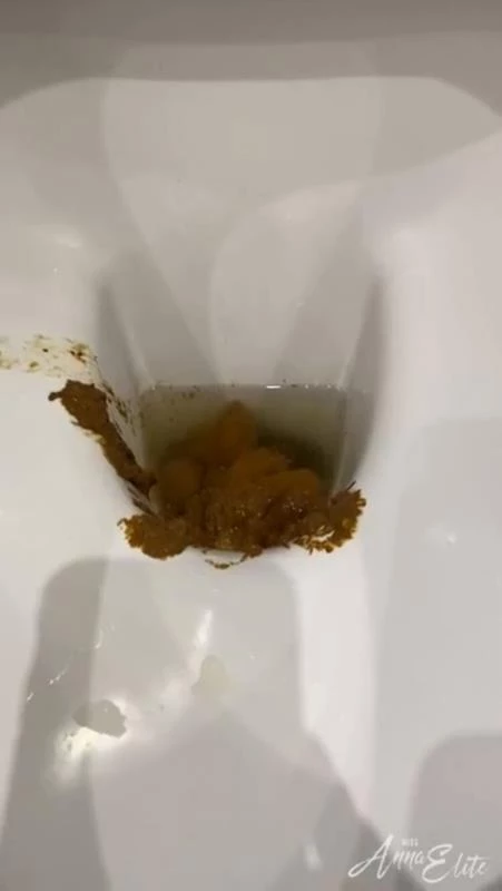 A big pile of shit in the toilet. P1 [2024/HD]